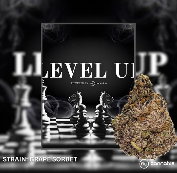 Level Up - Grape Sorbet 1oz - PREMIUM FLOWERS