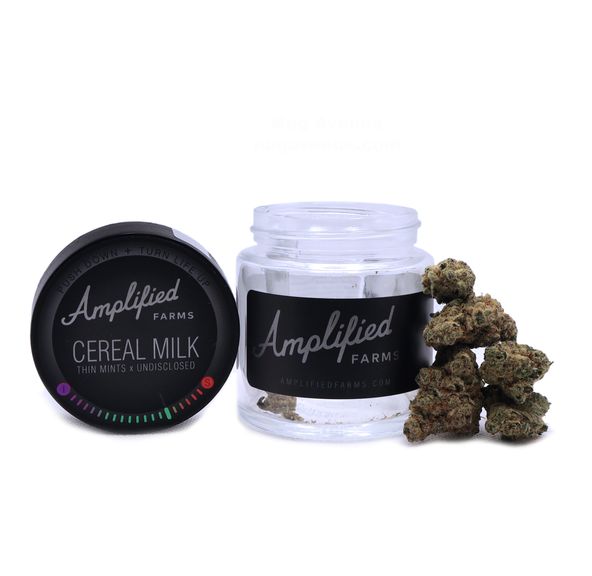 Amplified Farms Cereal Milk 3.5g 38.17%