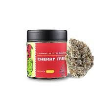 Greenline-Cherry Tree-3.5G-Indica