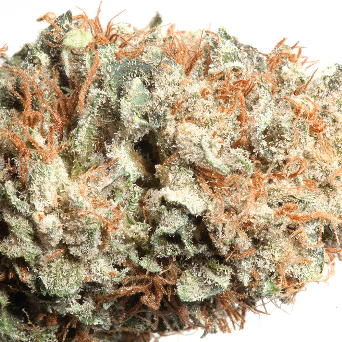 Frosted Freak