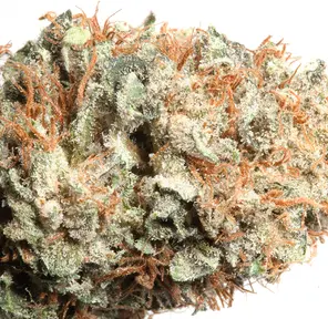 Frosted Freak