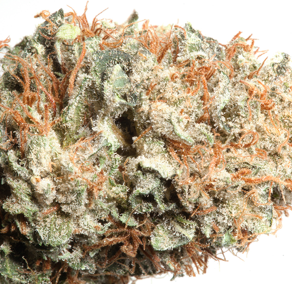 Frosted Freak