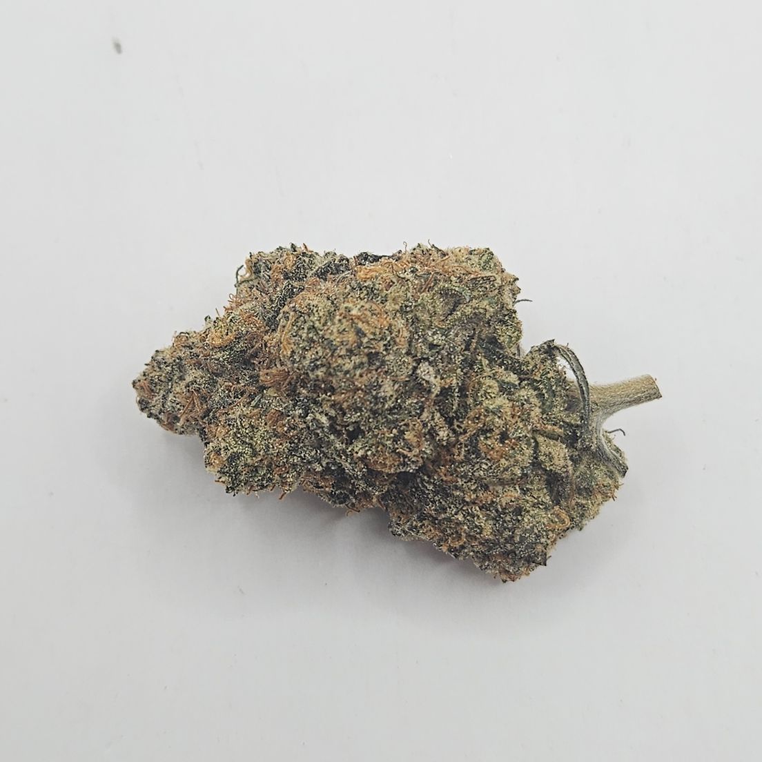 *Indoor - Garlic Sherbert - 26% - IDH