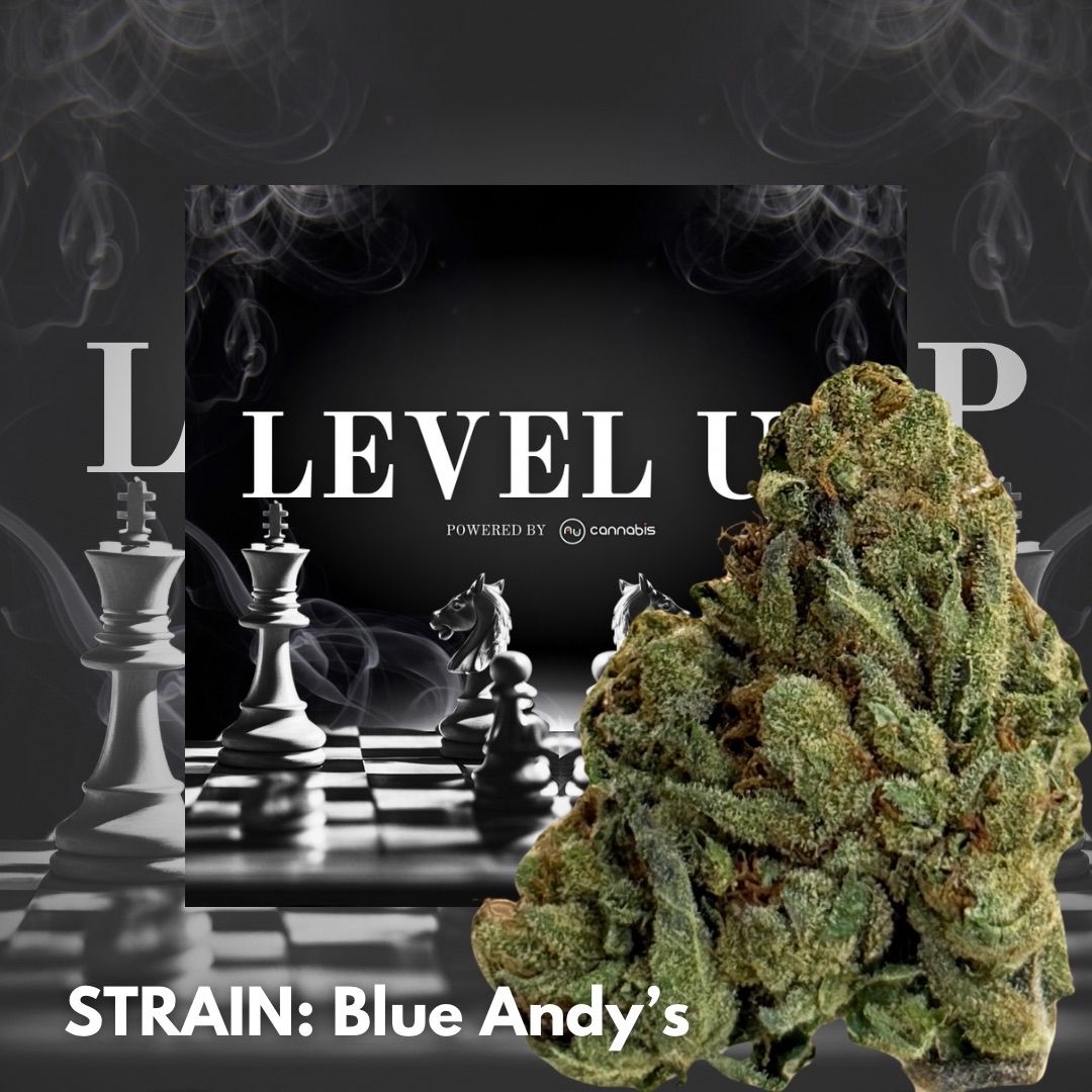 Level Up - Blue Andy's 14g - PREMIUM FLOWERS