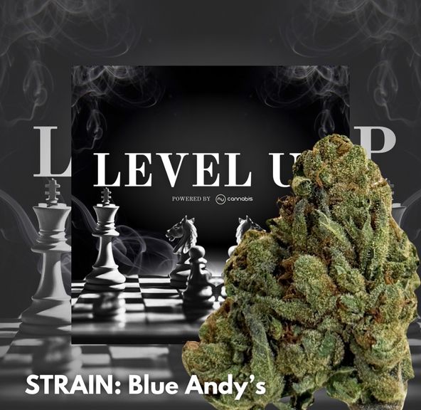 Level Up - Blue Andy's 14g - PREMIUM FLOWERS