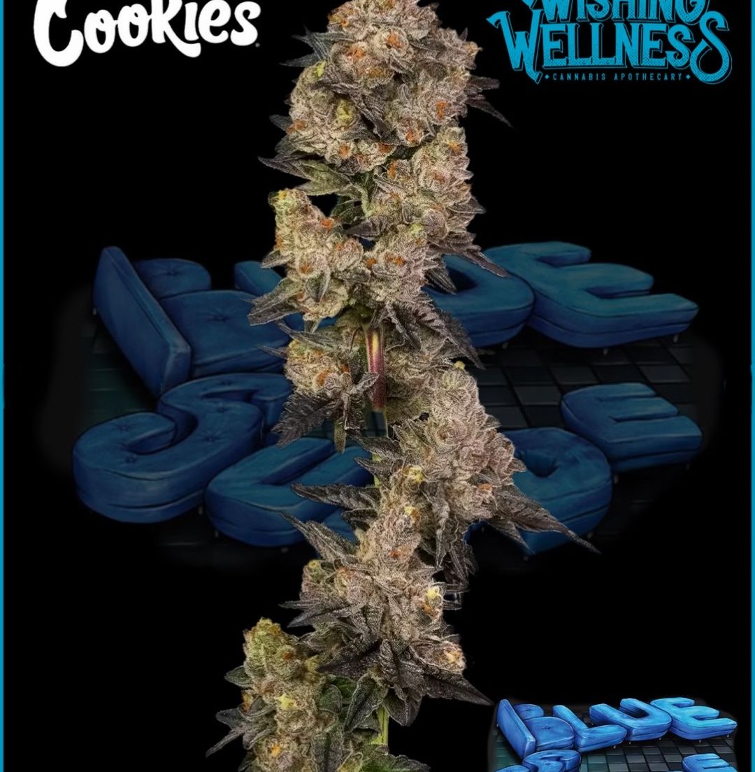 Cookies (Cultivated by DC's Finest) | Blue Suede - Flower | 3.5g | Indica-Hybrid