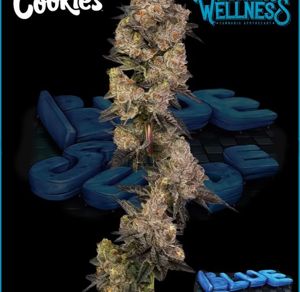 Cookies (Cultivated by DC's Finest) | Blue Suede - Flower | 3.5g | Indica-Hybrid