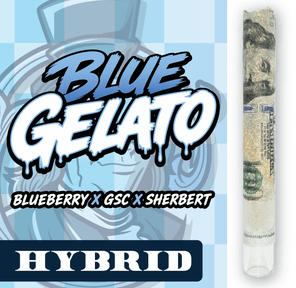 RR|Fancy Franklin|Blue Gelato