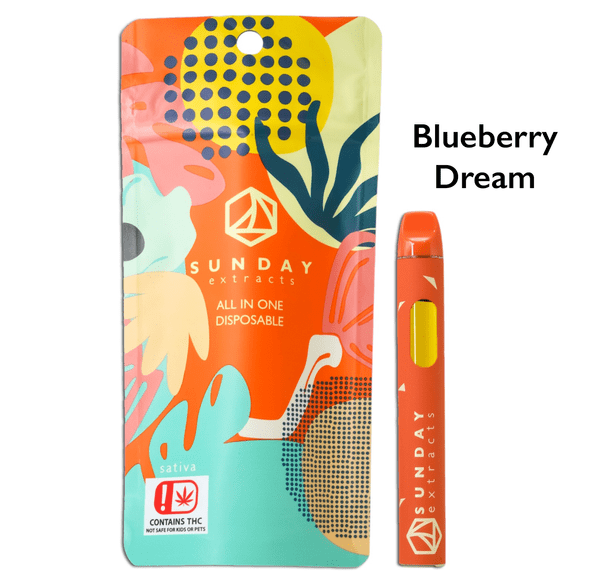 2g Dispoable - Blueberry Dream - Sunday