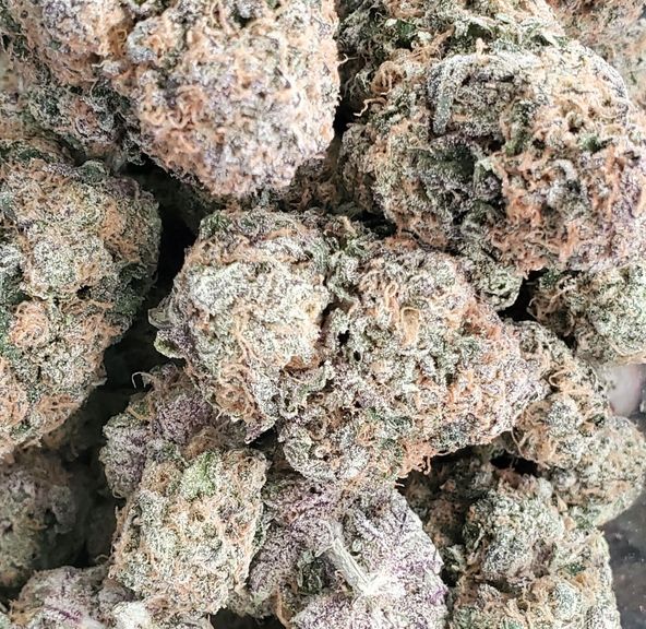 Granddaddy Purple - NEW DROP! - OTD Prices!