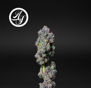 Alt Sol | Fuel Biscuits - Flower | 3.5g | Indica-Hybrid