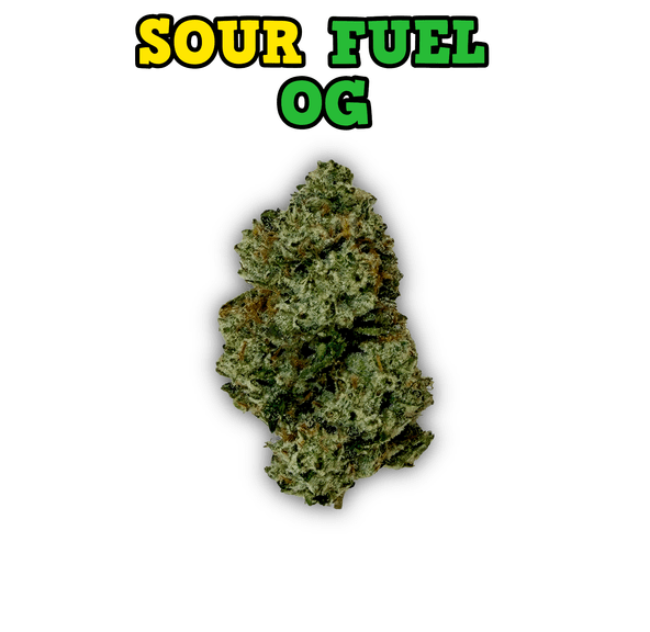 KINGS - SOUR FUEL OG - 28G | INDOOR FLOWER
