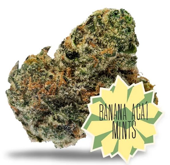 District Cannabis | Banana Acai Mints - Flower | 3.5g | Hybrid