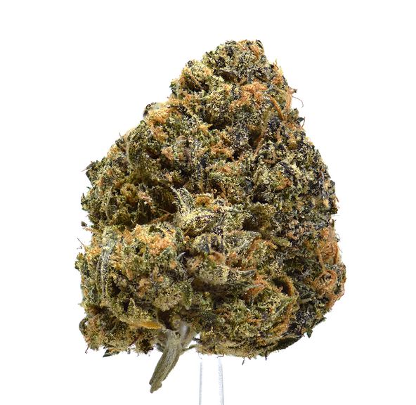 Durban Walker
