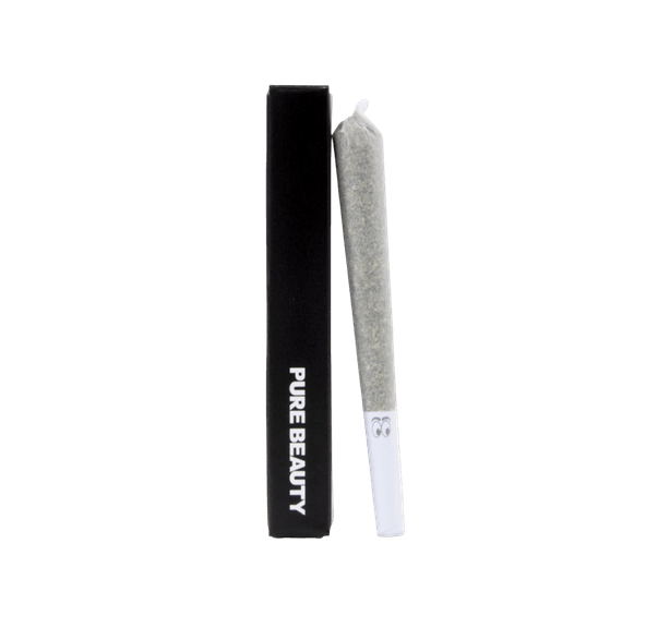 Pure Beauty | Preroll | 1g | Bermuda Triangle