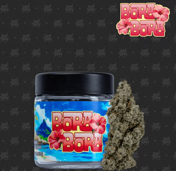 Seed Junky - Bora Bora - 3.5 g