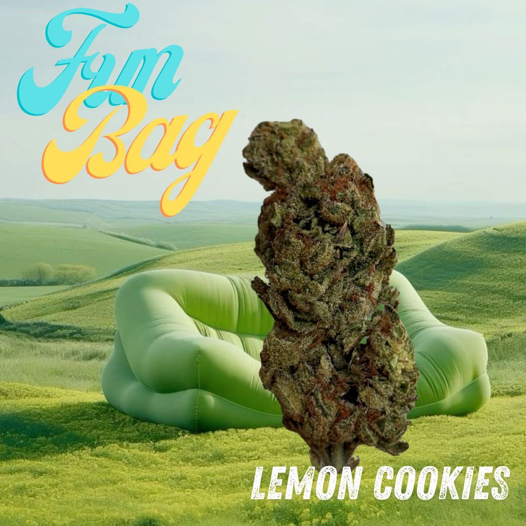 Fun Bags - Lemon Cookies 28g