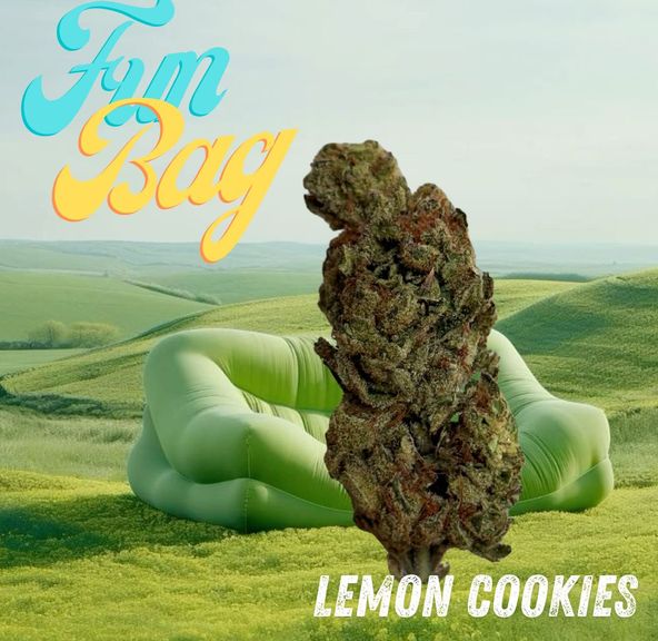 Fun Bags - Lemon Cookies 28g