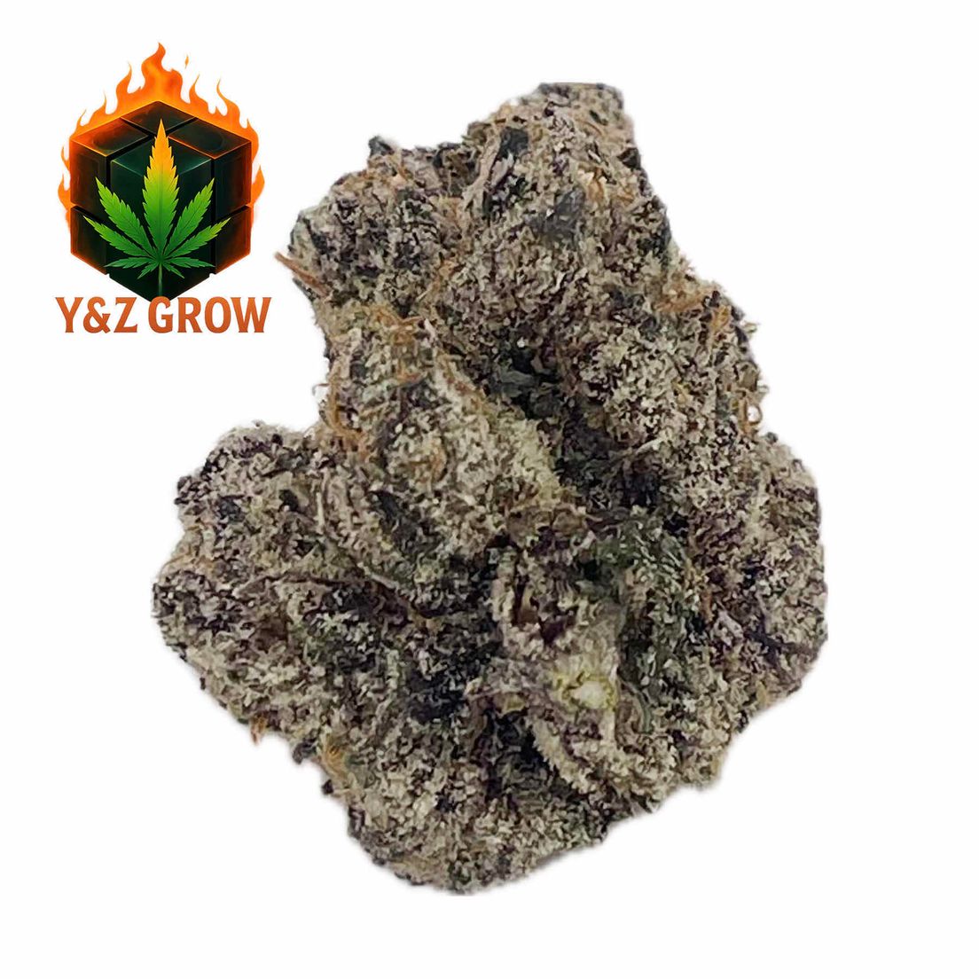 ? Gelato #41 (Sativa 55%) - Premium