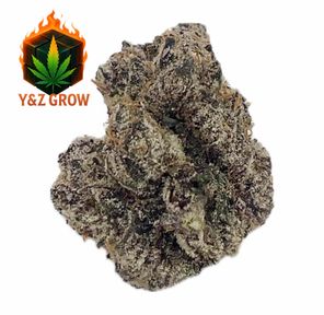 ? Gelato #41 (Sativa 55%) - Premium