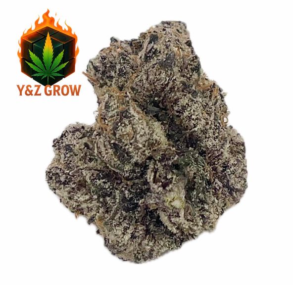 ? Gelato #41 (Sativa 55%) - Premium