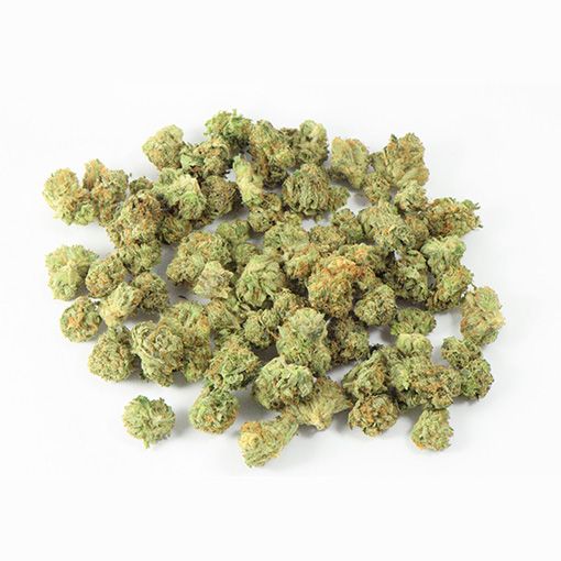 JETFUEL GELATO - 28G | INDOOR SMALLS