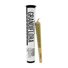 Grandiflora - Preroll - Melonatta - 1g