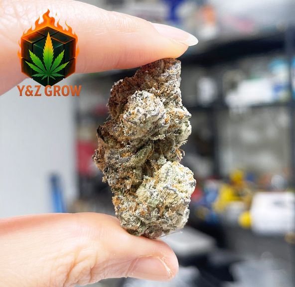 ? NEW DROP ? Slurricane (Indica 60%) - Premium