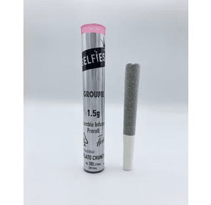 Gelato Crunch Crumble Infused Pre Roll 1.5g 1.50 g
