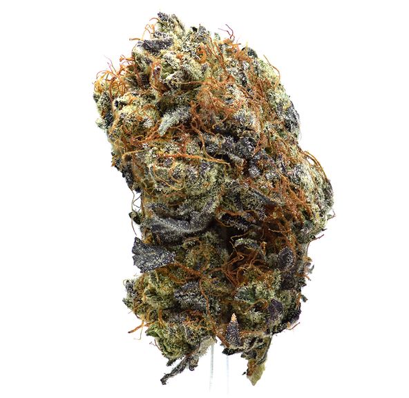 Blueberry | NEW!