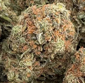 7g - GRANDDADDY PINK (AAAA)