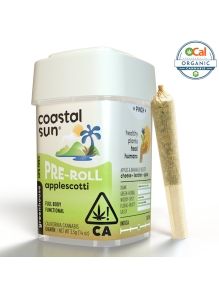 Coastal Sun - Applescotti 10 Pack Infused Prerolls 3.5g
