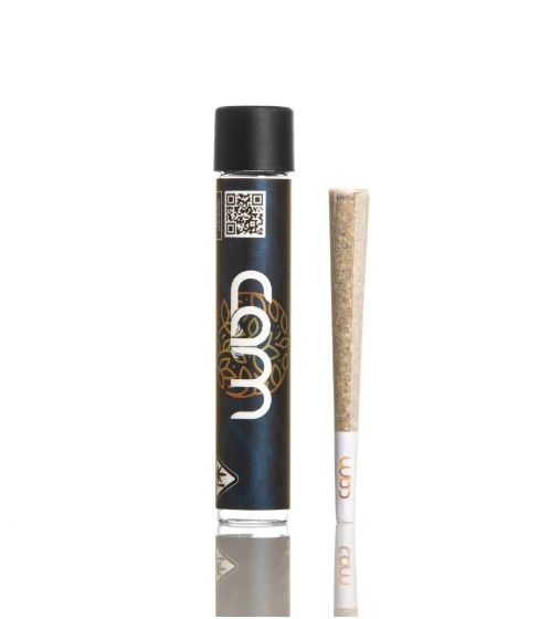 Cam- Brain Dead Preroll 1g (IH)