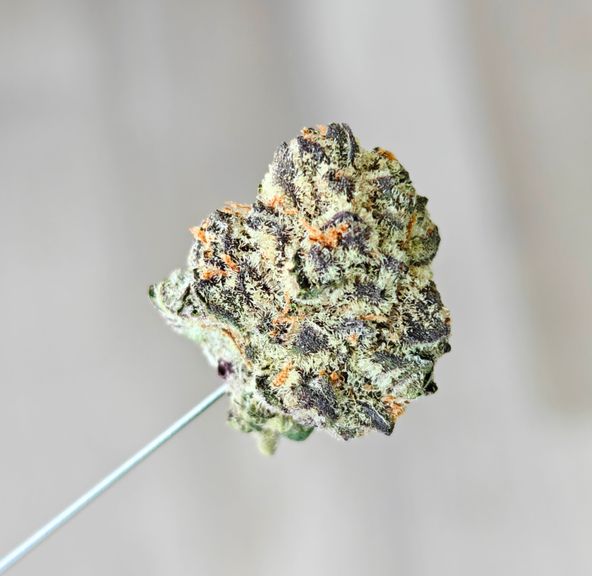 Grape Stomper 14g