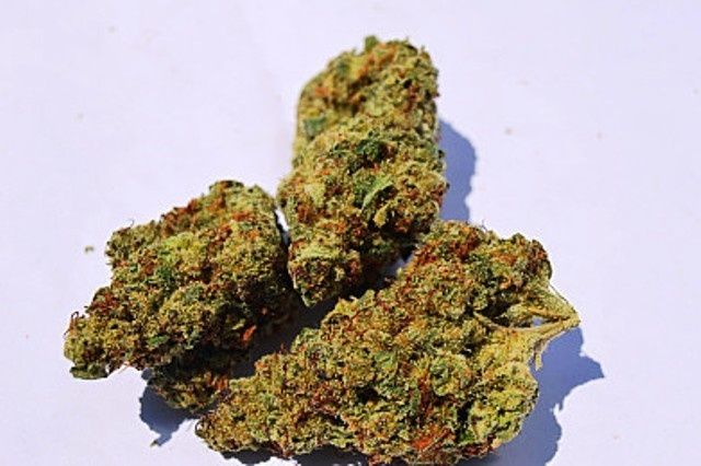 COLUMBIAN MOJITO THC 31.55% 1/2 Ounce