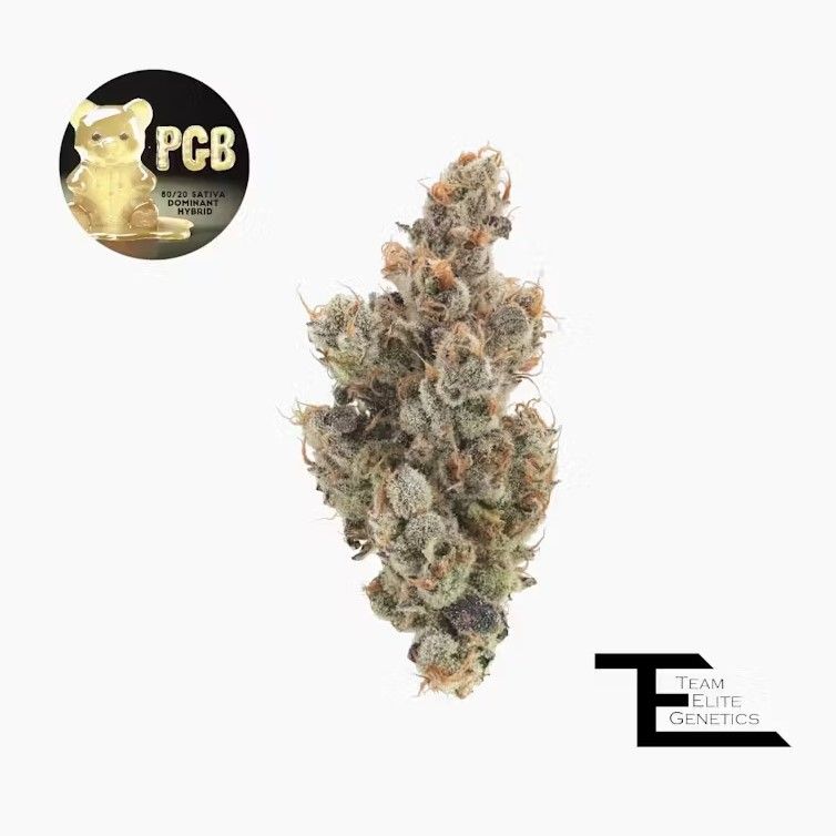 P.G.B.