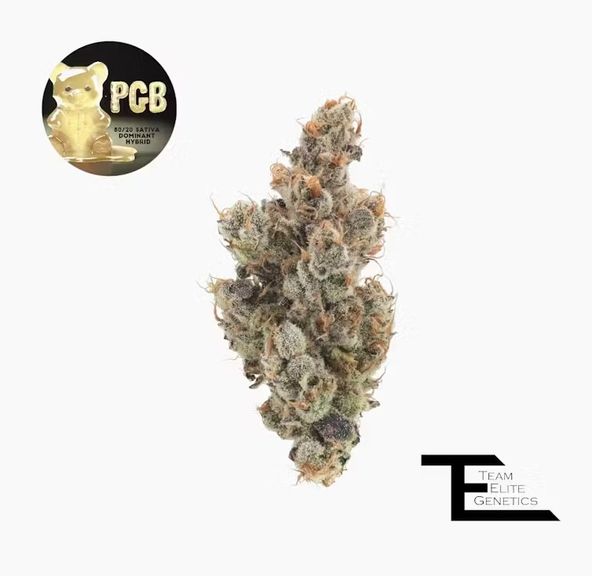 P.G.B.