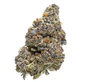Meat Breath [CE] | SALE!