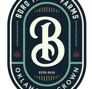 BORO 1G CURED RESIN PERMANENT POWER