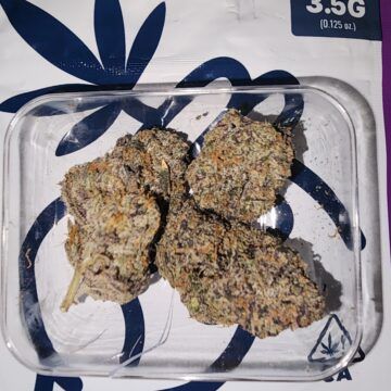 We Grow Dominican Runtz 3.5g 26%