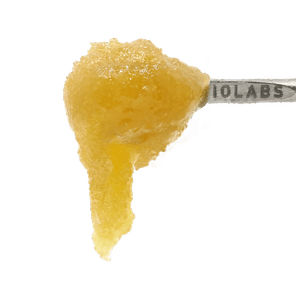 710 Labs - Z - 1g Persy Sauce