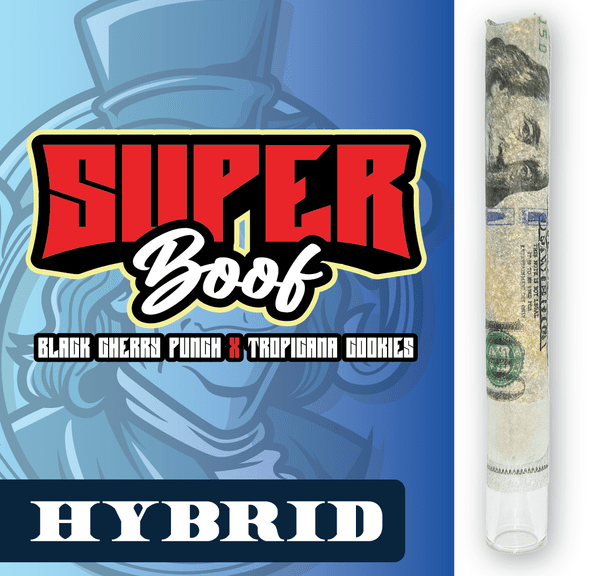 RR|Fancy Franklin|Super Boof