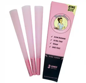 Blazy Susans Pink Cones 6pk