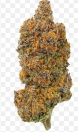 Flower- Sunday Driver Bulk