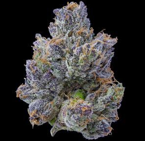 Ball Family Farms Flower Invader Zim 4g