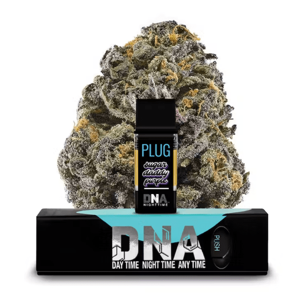 PLUGplay - PLUG DNA: Sugar Daddy Purple 1g