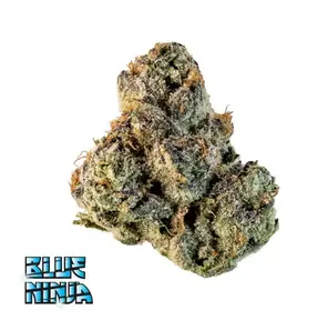 Blue Ninja 3.50 g