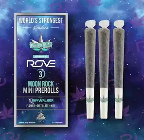 Presidential Moon Rock Mini Skywalker
