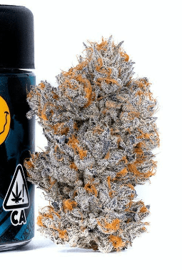 [Connected] Flower - 14g - Biscotti (H)