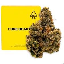 [Pure Beauty] Flower - 3.5g - Lemon Sportif (S)